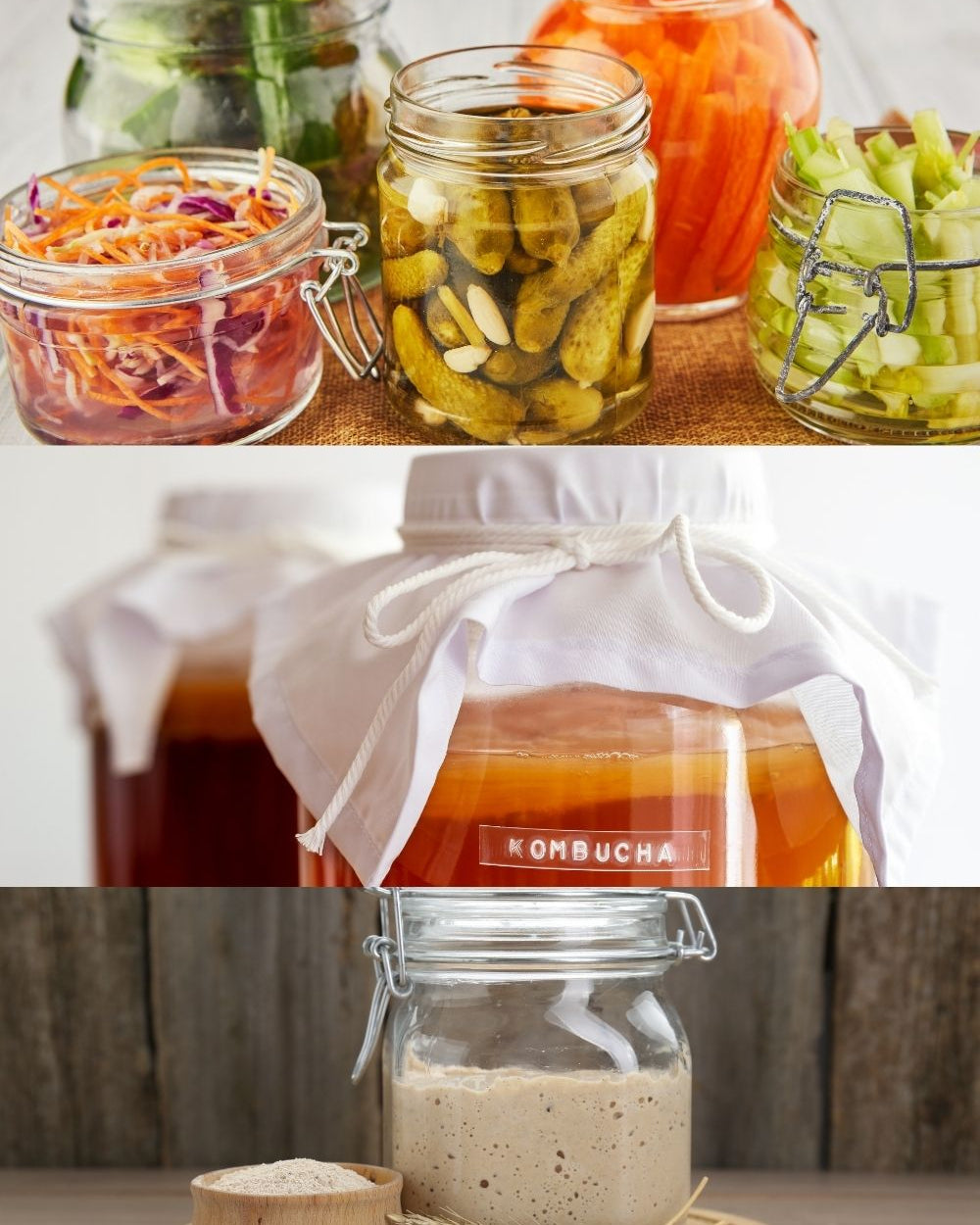 Fermentation Courses Bundle: Learn Fermentation at Home