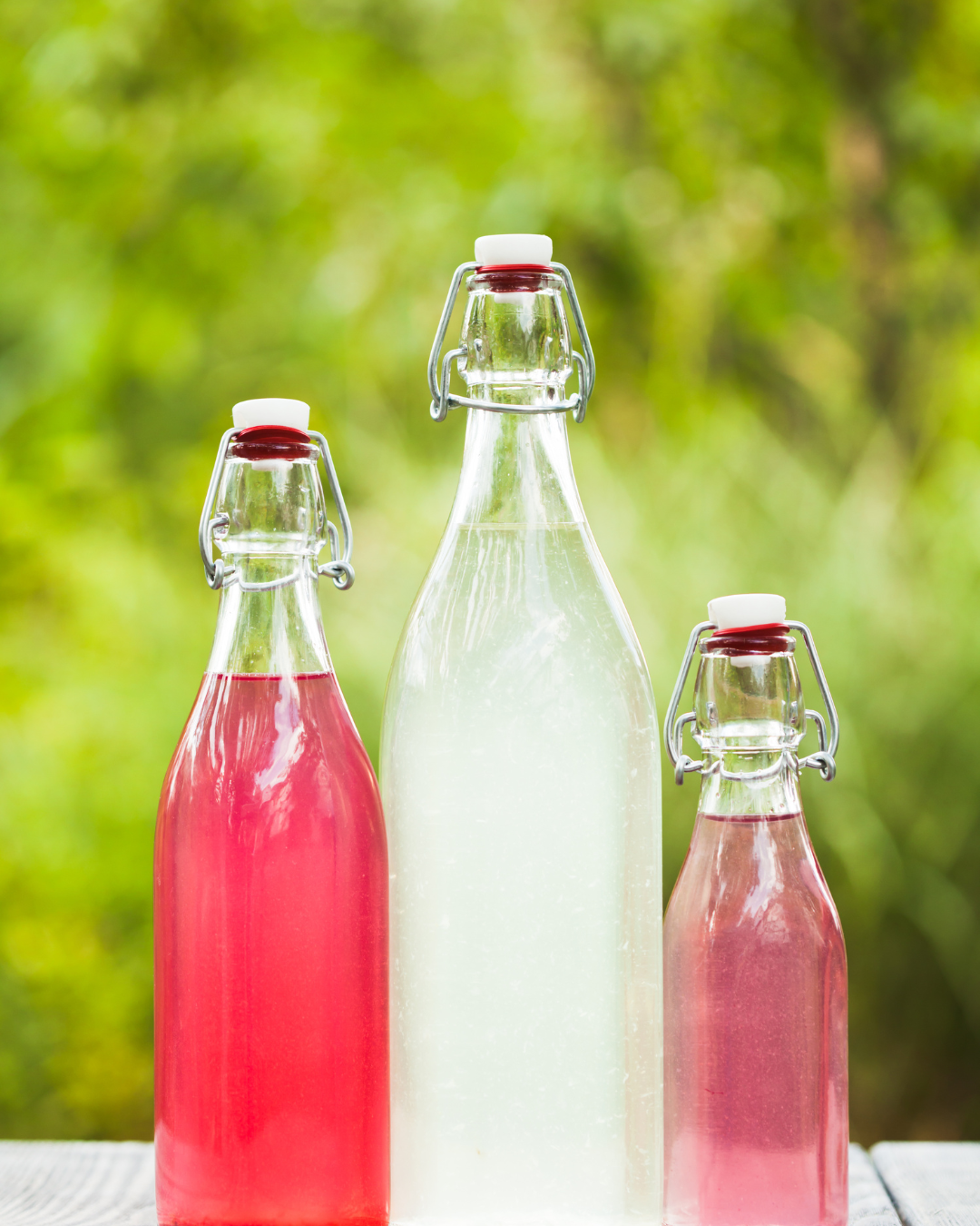 Fermented Drinks Course: Learn to Make Kombucha & More at Home